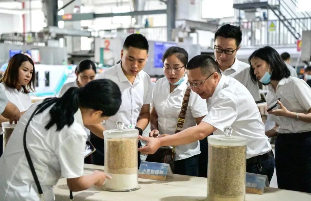 战略布局线上线下中低端市场