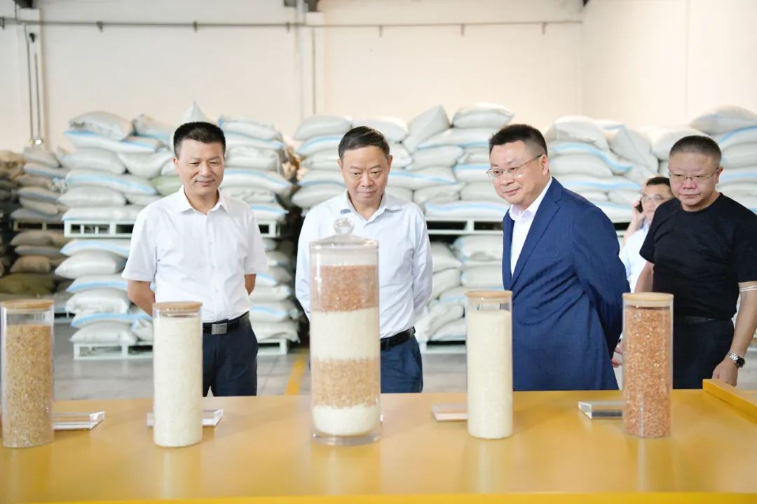 标准化建设水平