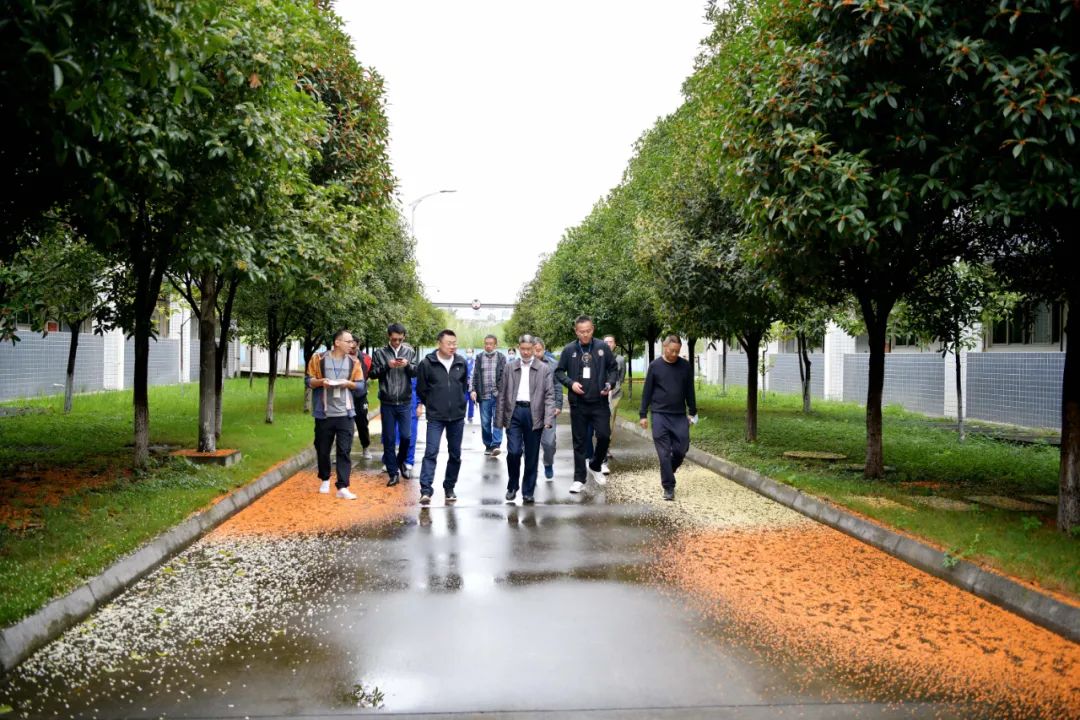 为切实加强和改进靠谱的滚球app下载