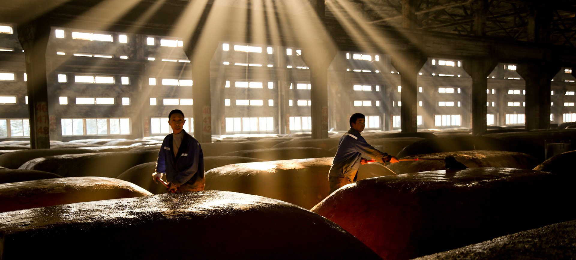 守正创新