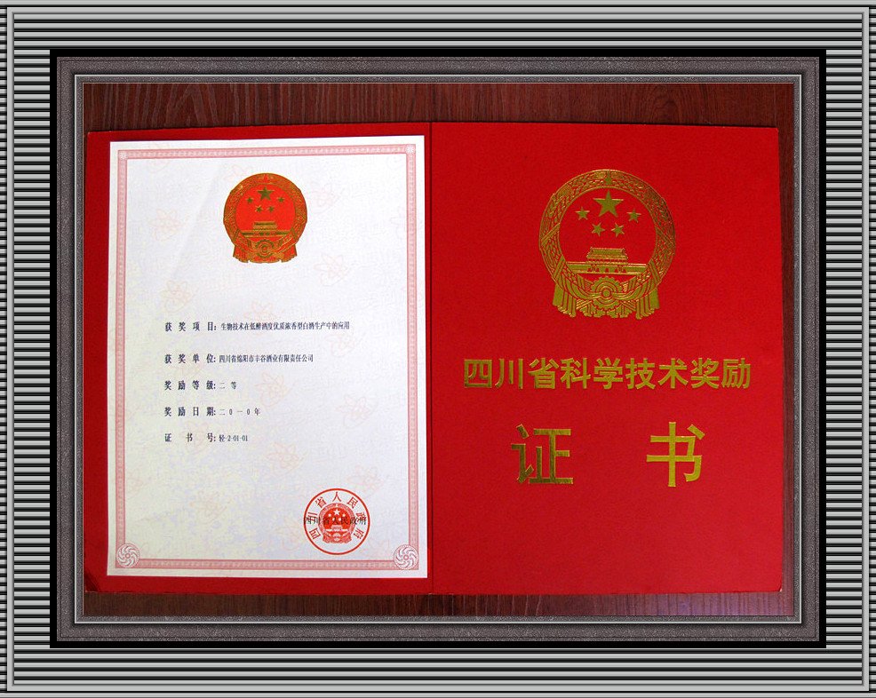 塑造“臻情一生”的靠谱的滚球app下